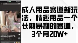 成人用品赛道新玩法,情趣用品一个长期暴利的赛道,3个月收益20个【揭秘】-小鸿资源库
