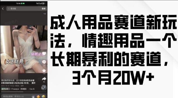 成人用品赛道新玩法,情趣用品一个长期暴利的赛道,3个月收益20个【揭秘】-小鸿资源库
