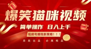 爆笑猫咪视频：简单操作，日入过K，视频号搞钱新策略【揭秘】-小鸿资源库