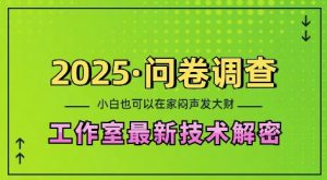 2025问卷调查最新工作室技术解密:一个人在家也可以闷声发大财,小白一天2张,可矩阵放大【揭秘】-小鸿资源库