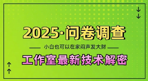 2025问卷调查最新工作室技术解密:一个人在家也可以闷声发大财,小白一天2张,可矩阵放大【揭秘】-小鸿资源库