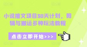 小说推文项目38天计划，剪辑与搬运多种玩法教程-小鸿资源库