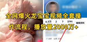 全网爆火龙宝宝视频全套操作流程,播放量2000万+-小鸿资源库