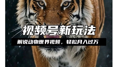 利用动物世界解说视频，赚分成计划收益，轻松月入过W，操作简单【揭秘】-小鸿资源库