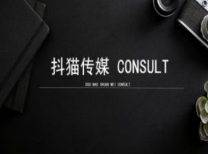 抖猫学院小红书聚光详细操作流程实操-小鸿资源库