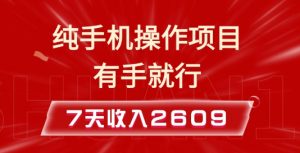 纯手机操作的小项目，有手就能做，7天收入2609+实操教程【揭秘】-小鸿资源库