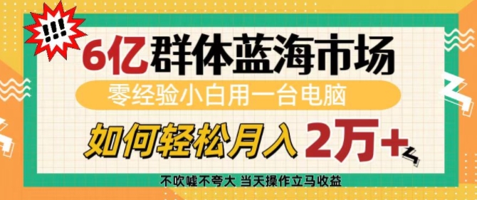 6亿群体蓝海市场，零经验小白用一台电脑，如何轻松月入过w【揭秘】-小鸿资源库