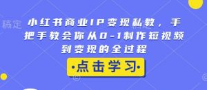 小红书商业IP变现私教,手把手教会你从0-1制作短视频到变现的全过程-小鸿资源库
