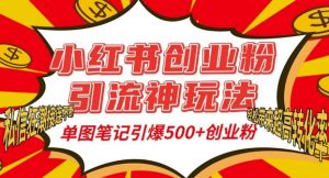 小红书创业粉引流神玩法，单图笔记引爆500+精准创业粉丝，私信狂潮接连不断-小鸿资源库
