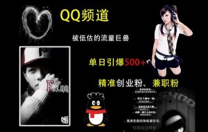 QQ频道：被低估的流量巨兽，单日引爆500+精准创业粉、兼职粉的引流秘籍-小鸿资源库