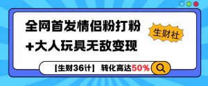 【生财36计】全网首发情侣粉打粉+大人玩具无敌变现-小鸿资源库