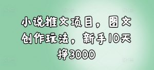 小说推文项目，图文创作玩法，新手10天挣3000-小鸿资源库