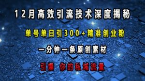 最新高效引流技术深度揭秘 ，单号单日引300+精准创业粉，一分钟一条原创素材，引爆你的私域流量-小鸿资源库