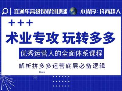 术业专攻玩转多多，优秀运营人的全面体系课程，解析拼多多运营底层必备逻辑-小鸿资源库