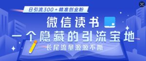 微信读书,一个隐藏的引流宝地,不为人知的小众打法,日引流300+精准创业粉,长尾流量源源不断-小鸿资源库