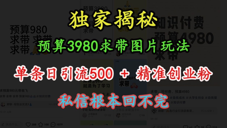 预算3980求带 图片玩法，单条日引流500+精准创业粉，私信根本回不完-小鸿资源库