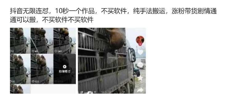 抖音无限连怼,10秒一个作品不买软件,纯手法搬运,涨粉带货剧情通通可以搬-小鸿资源库