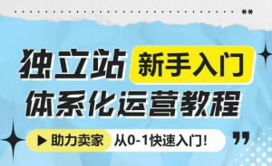 独立站新手入门体系化运营教程，助力独立站卖家从0-1快速入门!-小鸿资源库