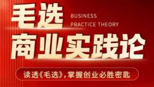 毛选商业实践论，读透《毛选》掌握创业必胜密匙-小鸿资源库
