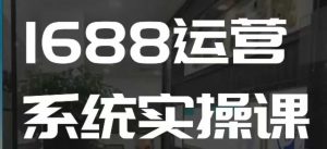 1688高阶运营系统实操课，快速掌握1688店铺运营的核心玩法-小鸿资源库