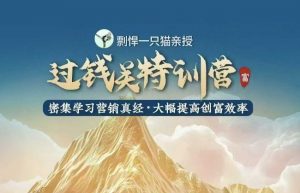 剽悍一只猫-过钱关特训营，学习营销真经 大幅度提高创富效率-小鸿资源库