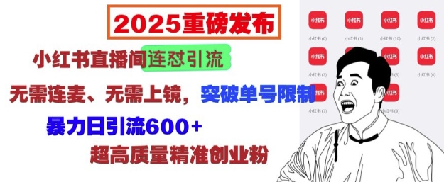 2025重磅发布：小红书直播间连怼引流，无需连麦、无需上镜，突破单号限制，暴力日引流600+-小鸿资源库