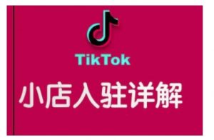 TikTok跨境小店运营全攻略，帮助你独立运营TK跨境小店的能力，实现销量增长-小鸿资源库