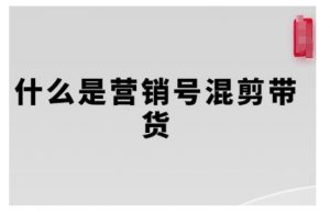 营销号混剪带货,从内容创作到流量变现的全流程,教你用营销号形式做混剪带货-小鸿资源库