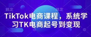 TikTok电商课程，​系统学习TK电商起号到变现-小鸿资源库