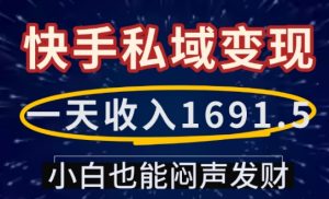 一天收入1691.5，快手私域变现，小白也能闷声发财-小鸿资源库