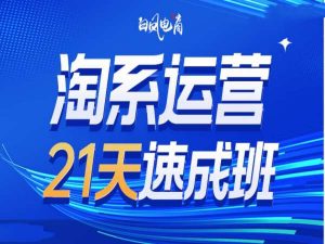 淘系运营21天速成班35期，年前最后一波和2025方向-小鸿资源库