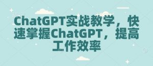 ChatGPT实战教学，快速掌握ChatGPT，提高工作效率-小鸿资源库