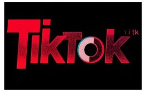TikTok ads投流秘籍，涵盖tiktok整体投放思路，教你搭建测试计划-小鸿资源库