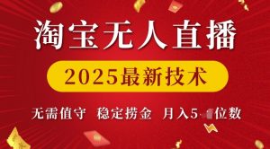 淘宝无人直播2025最新技术 无需值守，稳定捞金，月入5位数【揭秘】-小鸿资源库