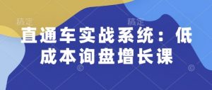 直通车实战系统:低成本询盘增长课,让个人通过技能实现升职加薪,让企业低成本获客,订单源源不断-小鸿资源库