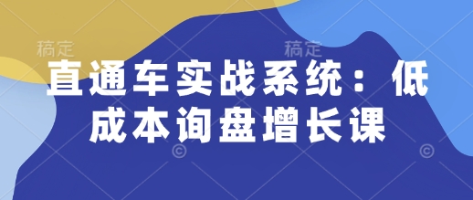 直通车实战系统:低成本询盘增长课,让个人通过技能实现升职加薪,让企业低成本获客,订单源源不断-小鸿资源库