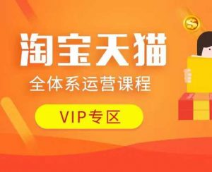 淘宝天猫全体系运营课程：店铺全系运营、动销玩法、付费推广、流量提升、擦边球玩法等等-小鸿资源库