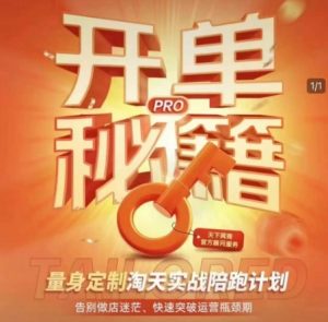 淘宝开单秘籍PRO，量身定制淘天实战陪跑计划，告别做店迷茫、快速突破运营瓶颈期-小鸿资源库