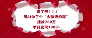 疯了吧！用AI做了个“会做饭的猫”，播放200万，单日变现1k-小鸿资源库