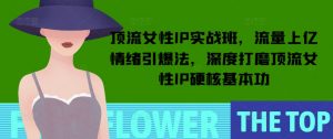 顶流女性IP实战班，流量上亿情绪引爆法，深度打磨顶流女性IP硬核基本功-小鸿资源库