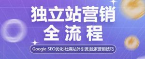 独立站营销全流程，Google SEO优化，社媒站外引流，独家营销技巧-小鸿资源库