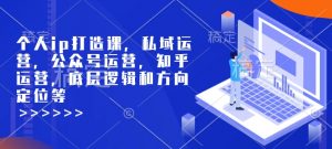 个人ip打造课，私域运营，公众号运营，知乎运营，底层逻辑和方向定位等-小鸿资源库