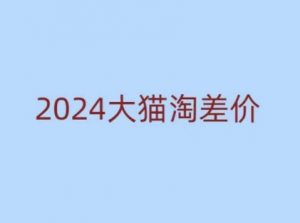 2024版大猫淘差价课程，新手也能学的无货源电商课程-小鸿资源库