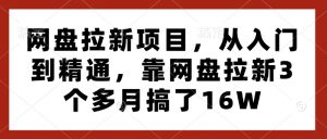 网盘拉新项目，从入门到精通，靠网盘拉新3个多月搞了16W-小鸿资源库