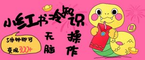 小红书冷知识账号，无脑复制粘贴，5分钟即可变现3张-小鸿资源库
