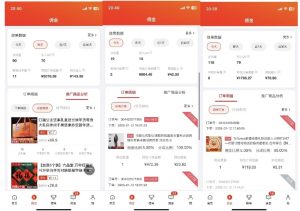 2025最新京东蓝海项目，0 门槛日入 1k+，小白宝妈轻松上手【揭秘】-小鸿资源库