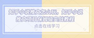 知乎小说推文怎么玩，知乎小说推文项目保姆级实战教程-小鸿资源库