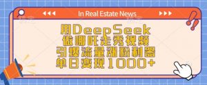 用DeepSeek做哪吒走秀视频，引爆流量涨粉利器，单日变现1k-小鸿资源库