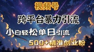 跨平台暴力引流，私域完美闭环，日引500+精准创业粉-小鸿资源库