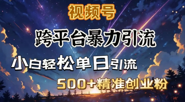 跨平台暴力引流，私域完美闭环，日引500+精准创业粉-小鸿资源库
